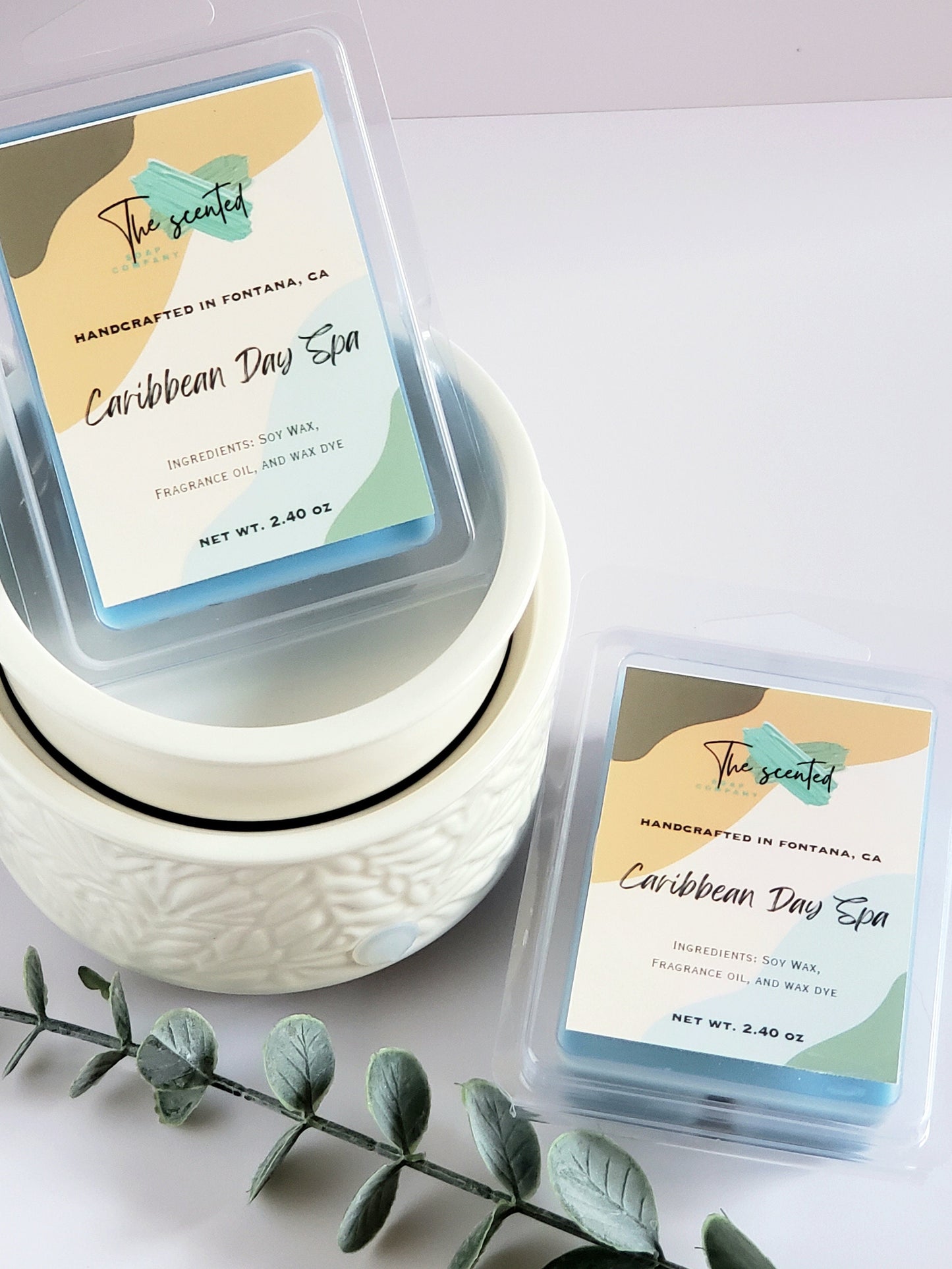 Wax Melts Soy Wax Melts Scented CARIBBEAN DAY SPA Wax Melts Candle Wax Melts 6 Cavity Clamshell Wax Melts